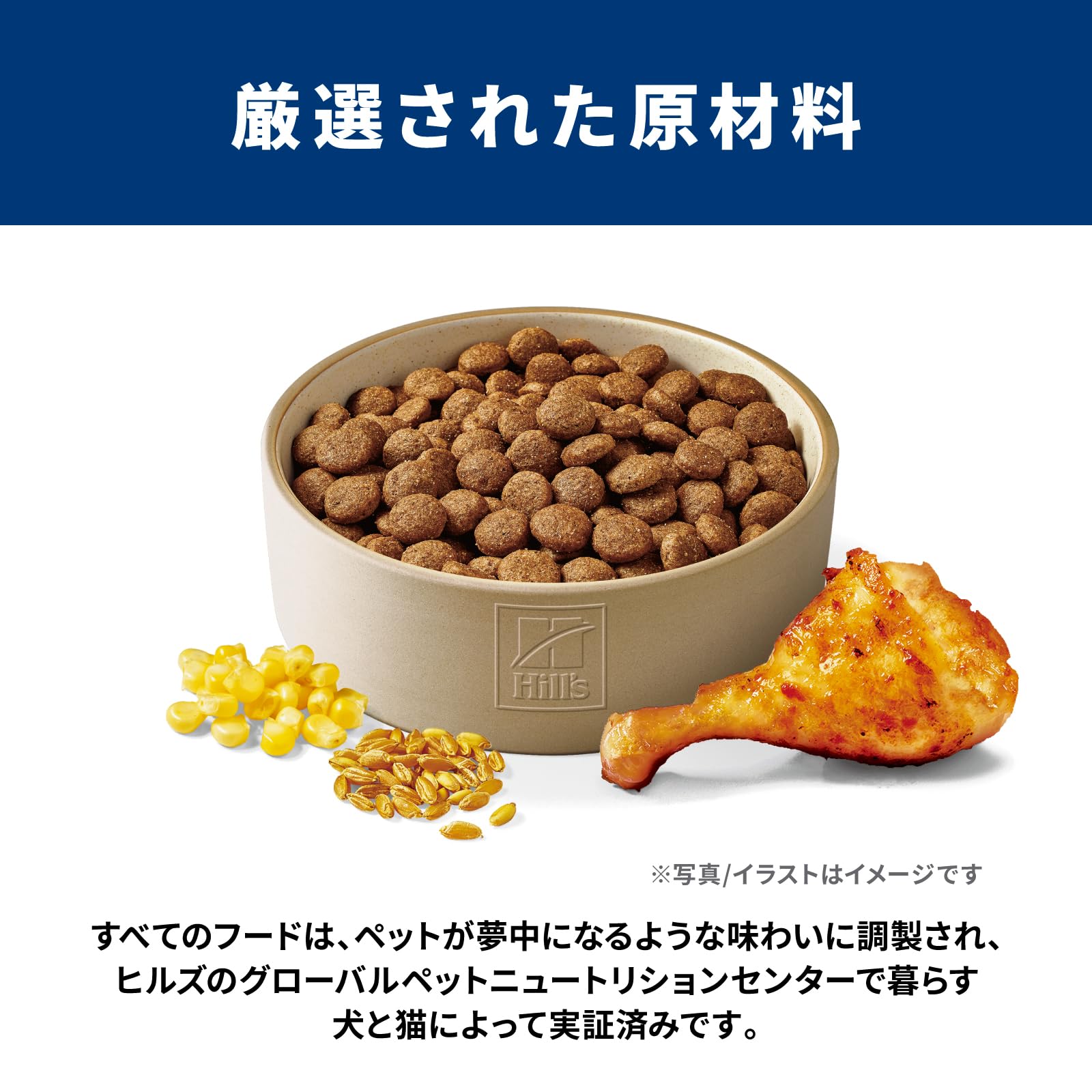 Amazon.co.jp: Hill's Science Diet Dog Food for Large Dogs, Senior